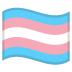 transgender flag